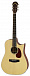 Электроакустическая гитара ARIA-111CE MTN