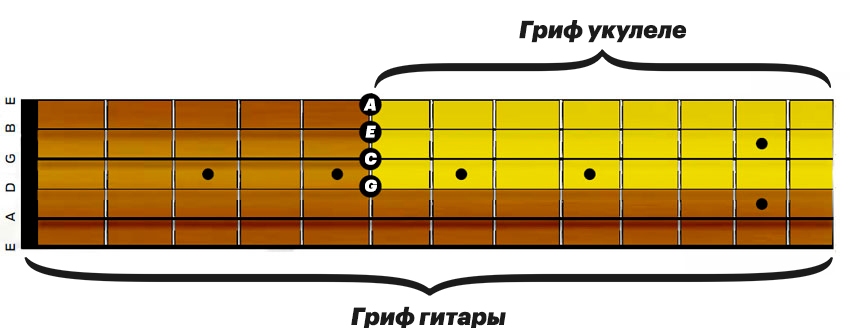 ukulele-tuning-03.jpg